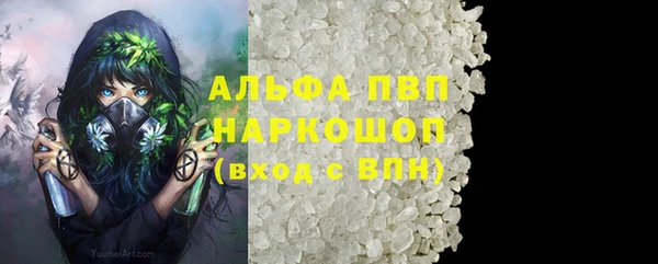 ГАЛЛЮЦИНОГЕННЫЕ ГРИБЫ Наволоки