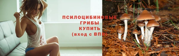 сатива Навашино