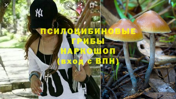 ГАЛЛЮЦИНОГЕННЫЕ ГРИБЫ Наволоки