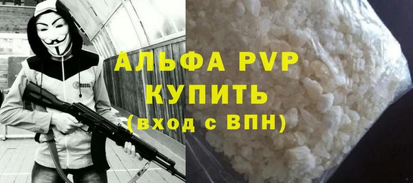 прущие грибы Новокубанск
