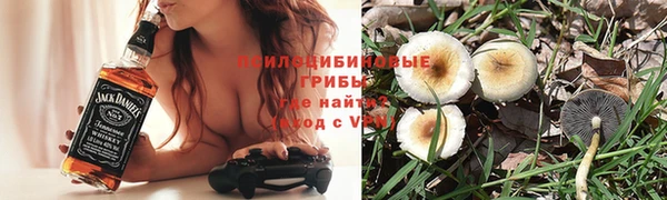 ГАЛЛЮЦИНОГЕННЫЕ ГРИБЫ Наволоки
