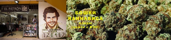 ГАЛЛЮЦИНОГЕННЫЕ ГРИБЫ Наволоки
