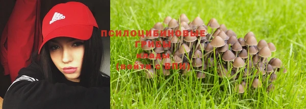 сатива Навашино