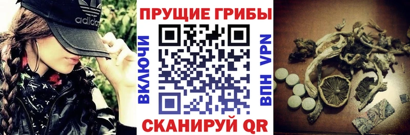 Галлюциногенные грибы Psilocybe  Иркутск 