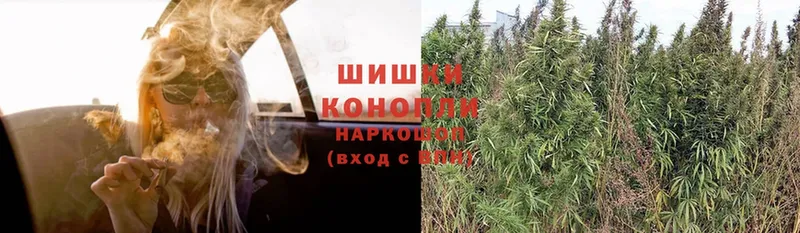 где продают   это телеграм  Бошки марихуана марихуана  Иркутск 